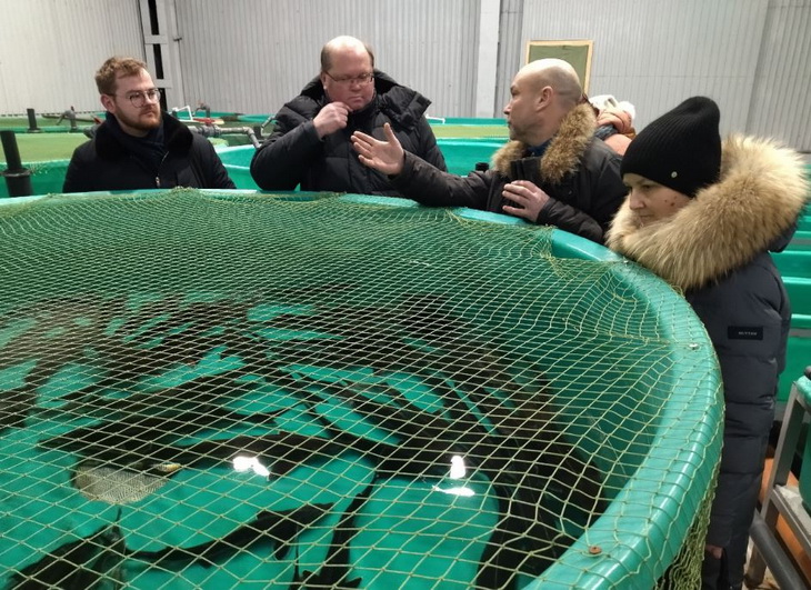 осетровая ферма в ярославской области