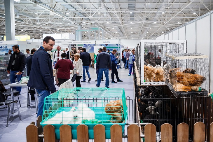 фермаэкспокраснодар