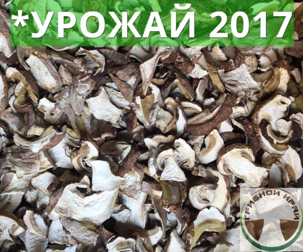 Купить Белый Гриб Оптом
