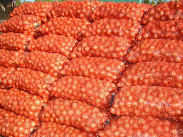 Купить Репчатый Лук Оптом В Калининграде