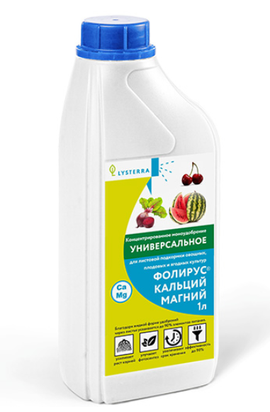 фолирус