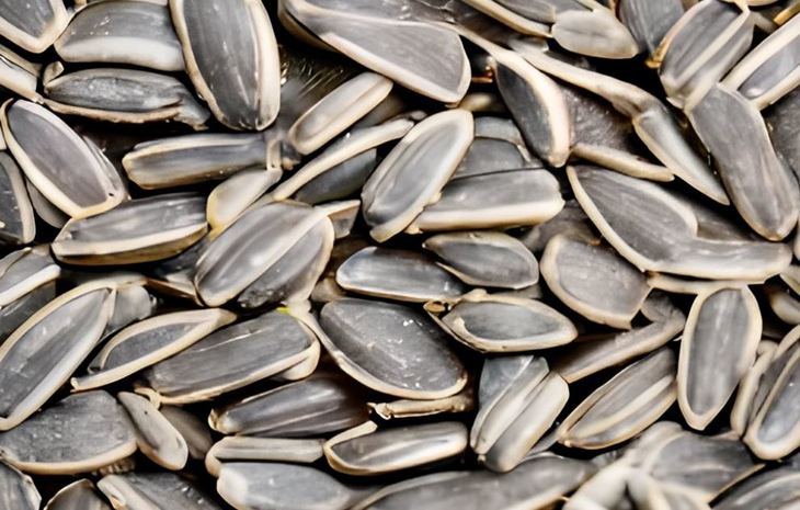 Купить Семена Подсолнуха В Ростове